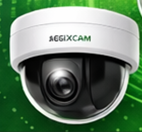 Dome Cameras